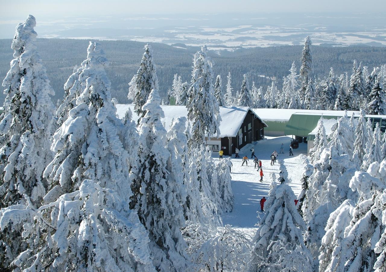 Landgasthof/Landhaus Waldlust Бишофсгрюн Экстерьер фото
